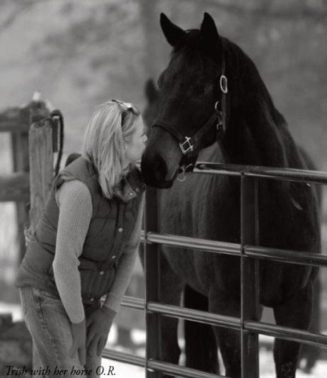 kiss Horse Land Farm Home Realtor Hudson Valley New York